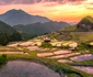 orezarie terasata japonia foto shutterstock 556266496 jpg