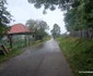 Drumul Cerbăl Feregi din Poiana Răchițelii Foto Daniel Guță ADEVĂRUL (6) jpg