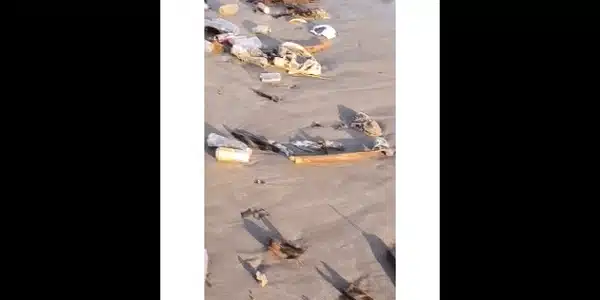 bali gif