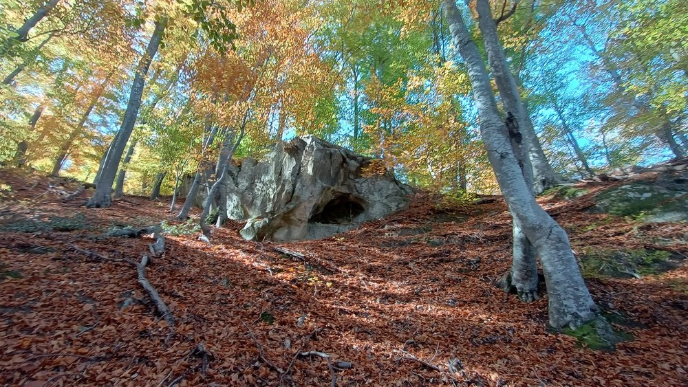 Așezarea rupestră misterioasă descoperită recent într-o pădure din apropierea Athosului buzoian FOTO