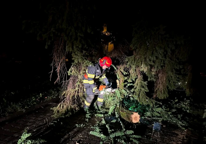 Furtuna a făcut prădăd și în Brașov Foto: igsu