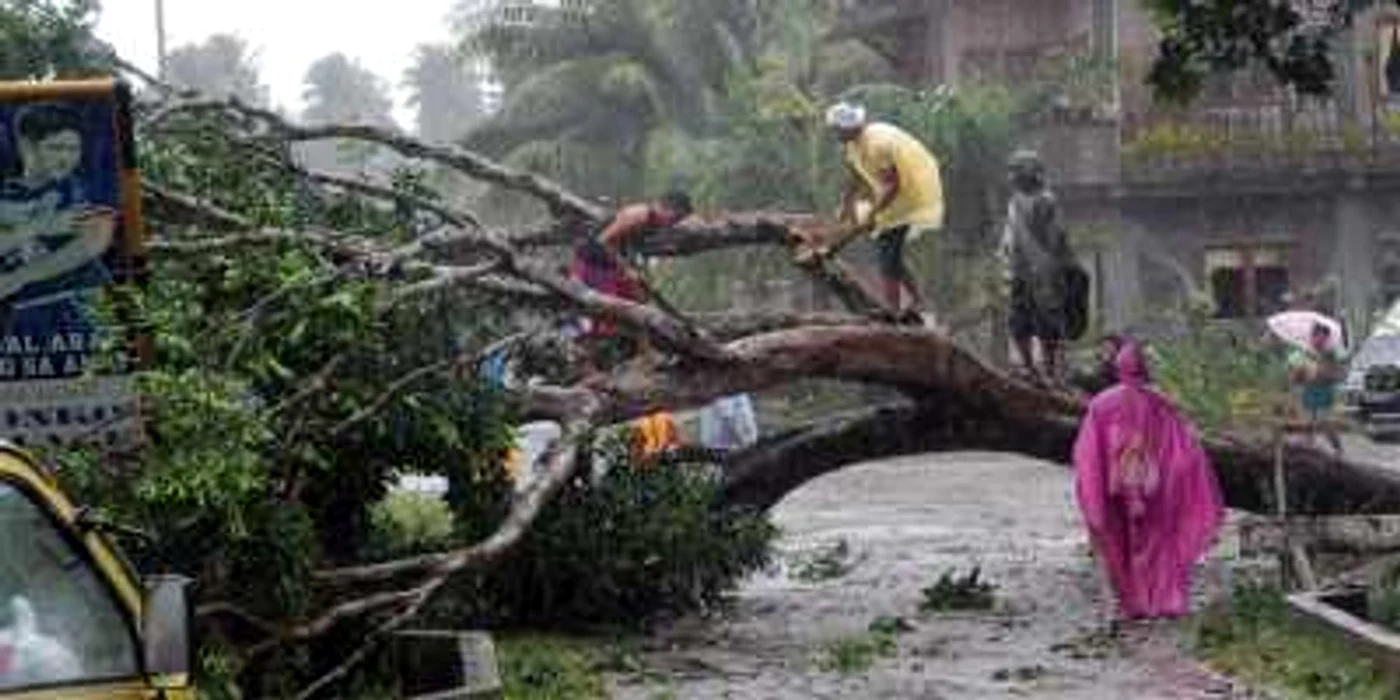 Taifunul Bopha a făcut peste 700 de victime în Filipine