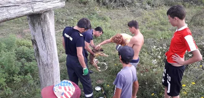 Câinele a fost salvat de pompieri FOTO ISU Drobeta