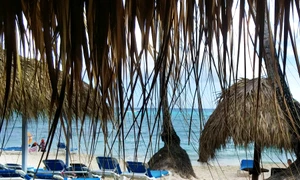 Cînd răsare luna, printre palmieri jpeg