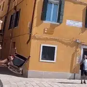 GIF BATAIE venetia