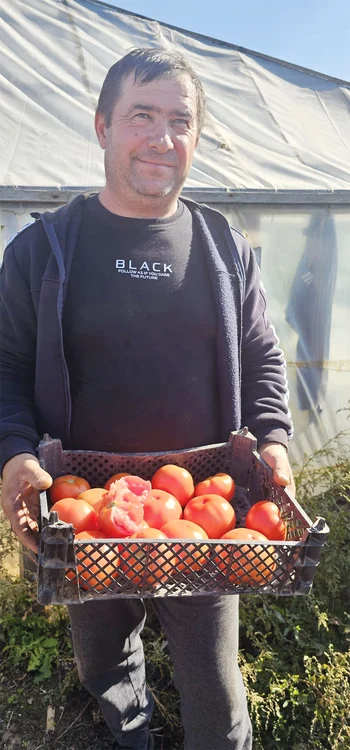 Radu Mituș este unul  dintre cei mai mari  legumicultori din Vărăști