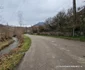 Satul Curechiu din Hunedoara  Foto Daniel Guță ADEVĂRUL (11) jpg