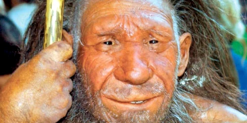 Strămoşii omului modern erau agresivi  