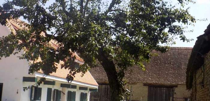 cloasterf haus