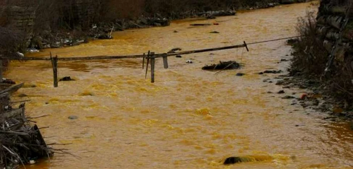 Apa cu steril s-a deversat în râu      Foto: Adevărul