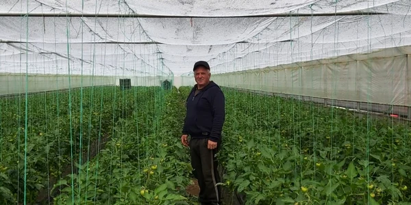 Producători Oltenia FOTO Arhiva Personala
