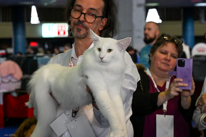 Wild Forests Prosecco jpg