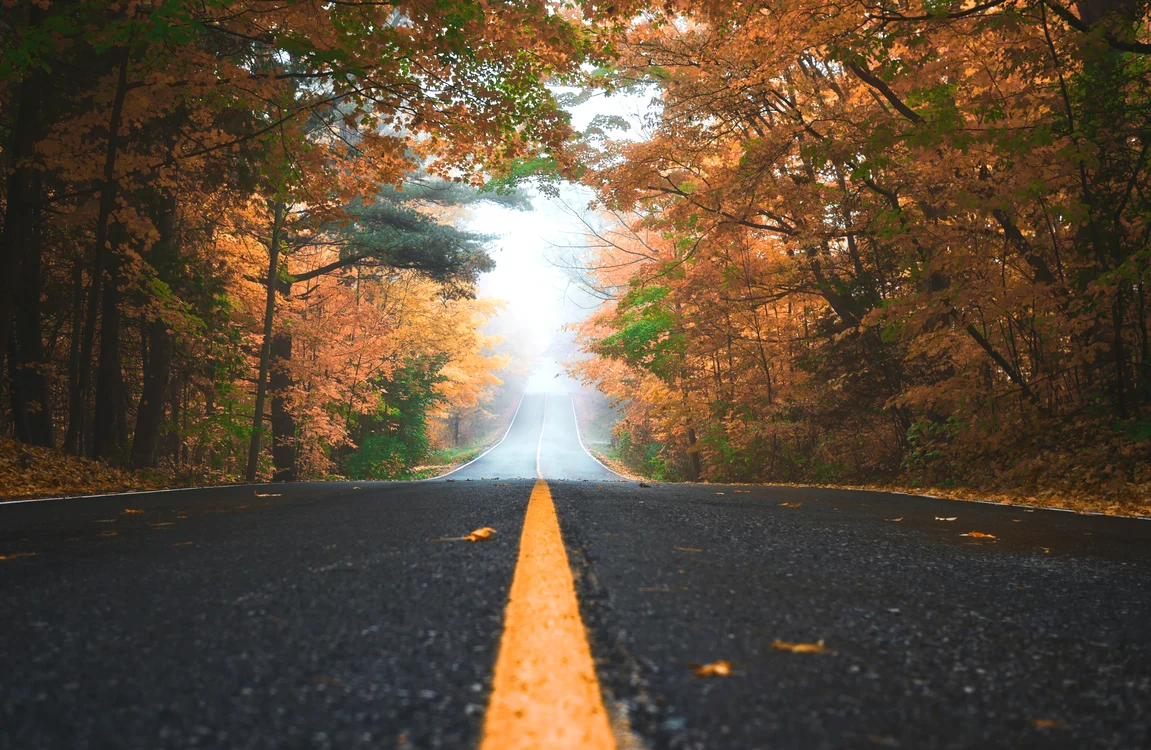 Vreme rece la jumătatea lunii octombrie - Foto Shutterstock