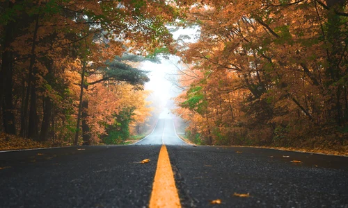 toamna vremea natura patrick tomasso 5hvn 2ww6ry unsplash jpeg
