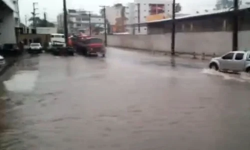 inundatii jpeg