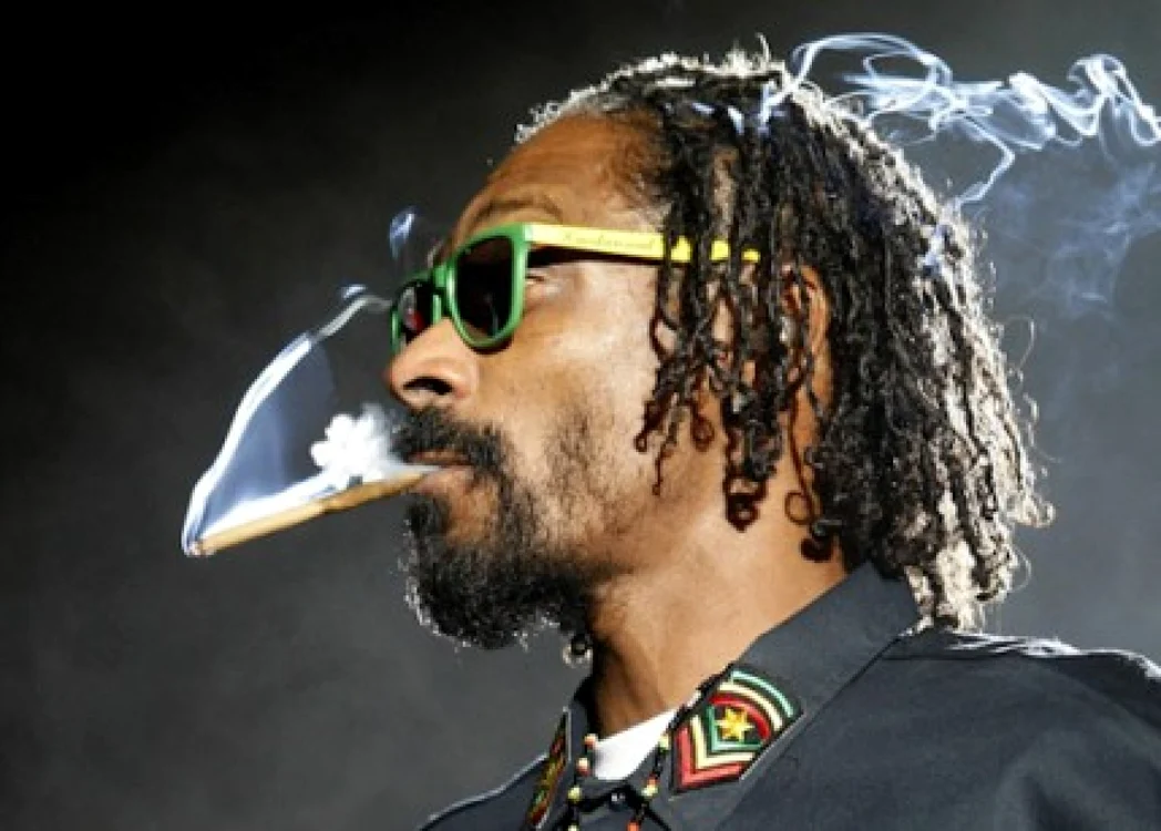Meniul localului Amsterdam Falafel Shop  conţine cinci tipuri de falafel, fiecare pregătit cu ingrediente potrivite pentru tot atâtea tipuri de „iarbă. Snoop Dogg.  FOTO appszoom.com