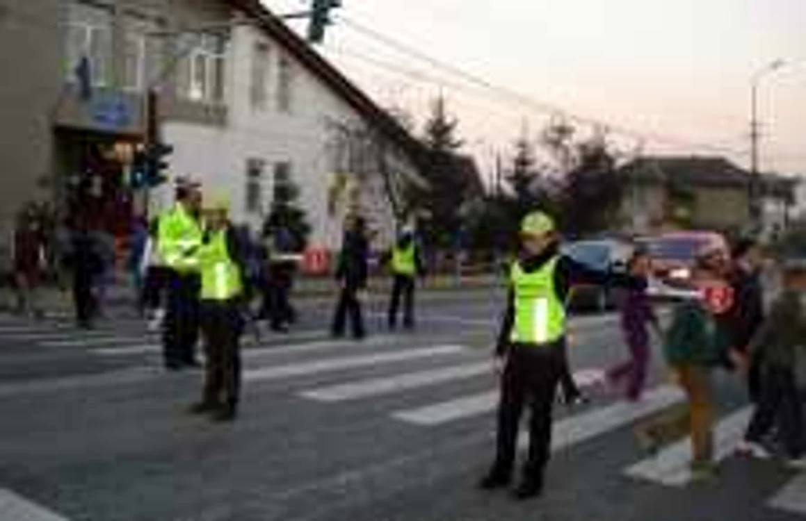 Elevii au dirijat circulația