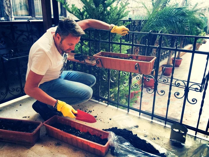 1966851 756633131047696 68990050 n jpeg