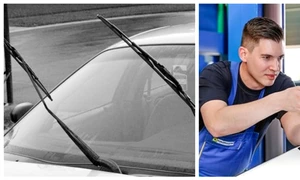 BeFunky collage   2026 01 29T151453 351 jpg