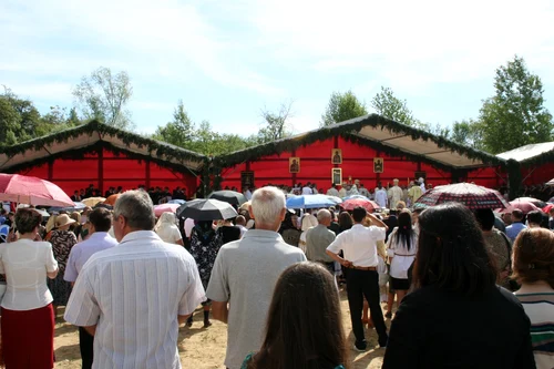 foto basescu salva 1