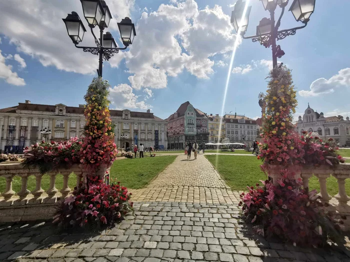 Timișoara, orașul florilor FOTO Ștefan Both