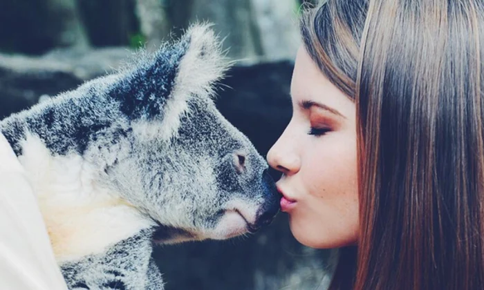 bindi irwin png