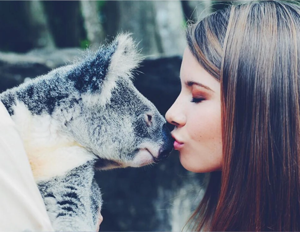 bindi irwin png