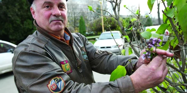 Liliacul a înflorit înainte de prima zăpadă 