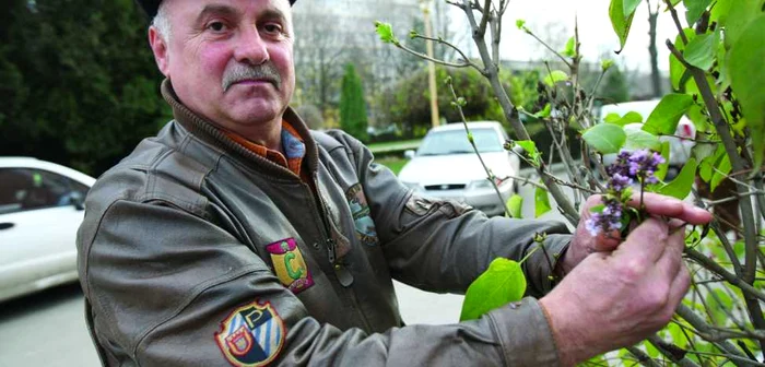 Liliacul a înflorit înainte de prima zăpadă
