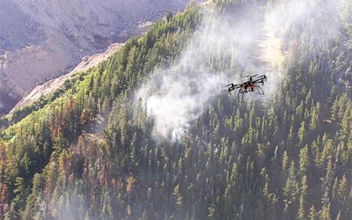 Dronă. dronelife.com