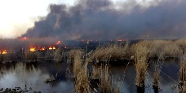 incendiu vegetatie