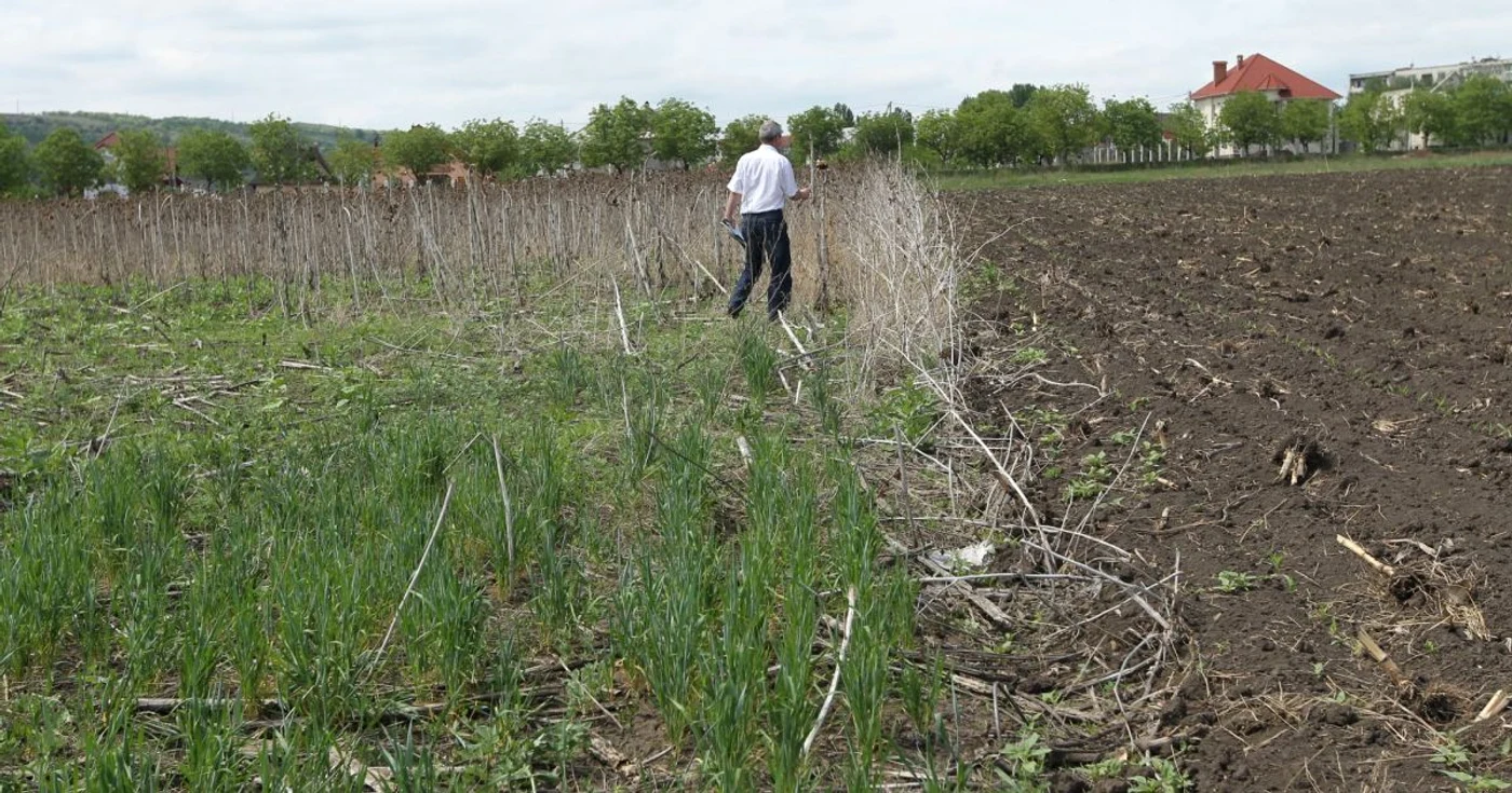 Zeci de ii de hectare de terenuri agricole stau pârloagă FOTO Tudor Iovu