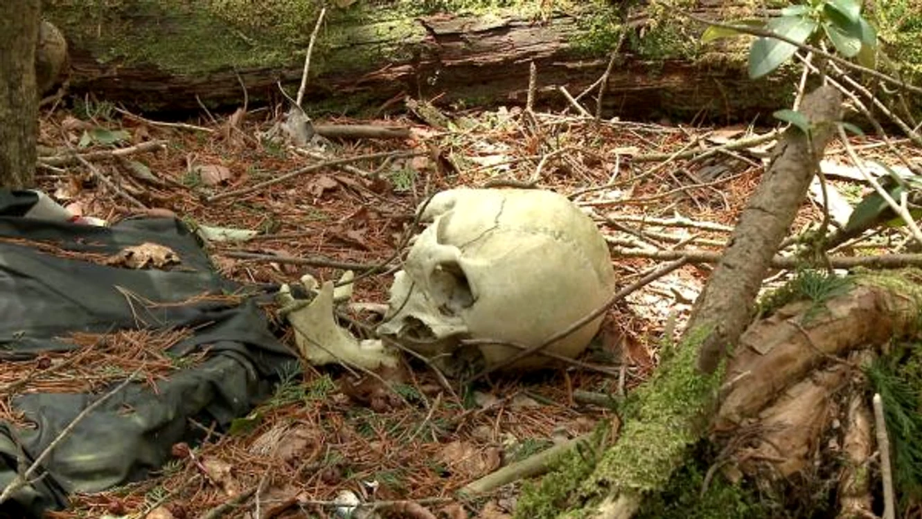 
    Polițiștii au recuperat numeroase cadavre, însă se tem că multe rămân nedescoperite în pădurea deasăFoto: vice.com  