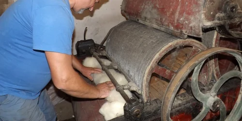 dăracul familiei doman de la runcu FOTO Alexandra Georgescu