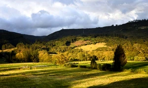 populatie umana misterioasa William Usaquen Universidad Nacional de Colombia Universitat Tubingen descopera jpg