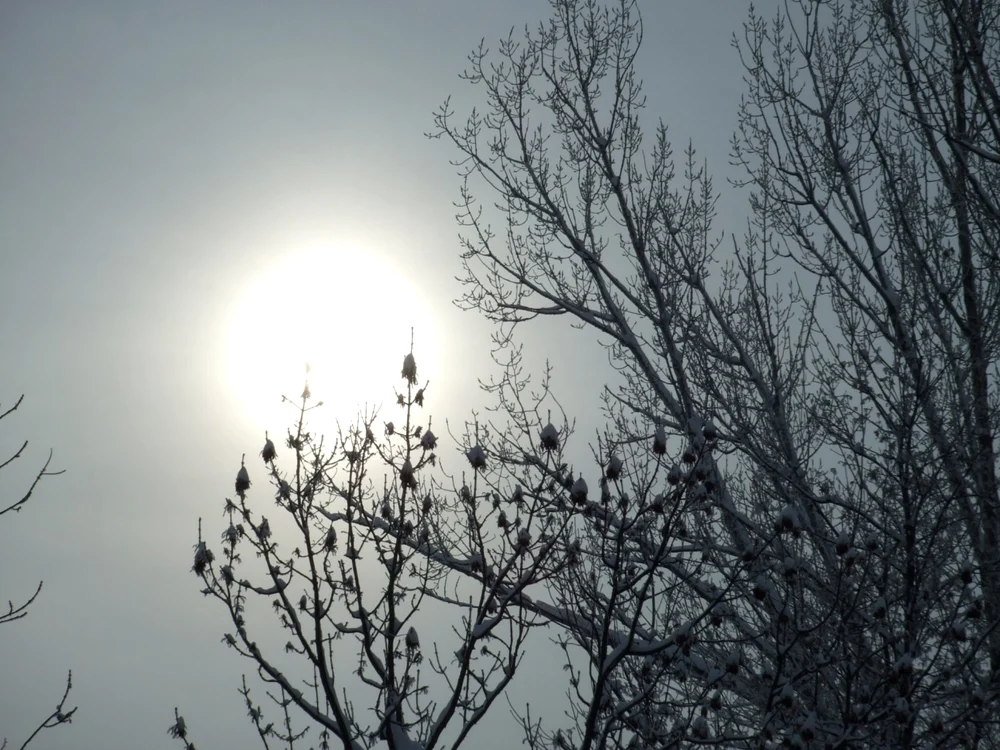 Vremea se încălzeşte de Crăciun în toată ţara. FOTO Adevărul
