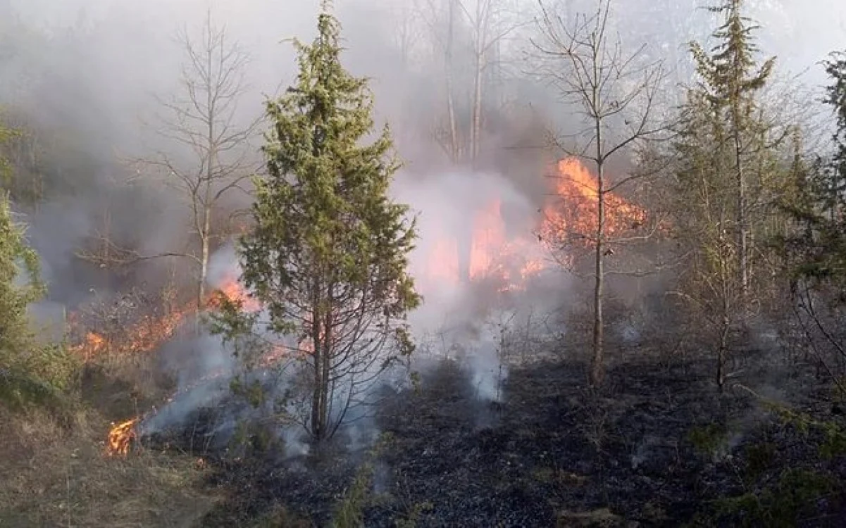 FOTO: ISU Hunedoara.