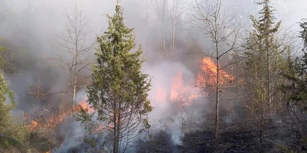 incendiu
