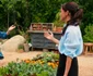 Meghan Markle are serial pe Netlix