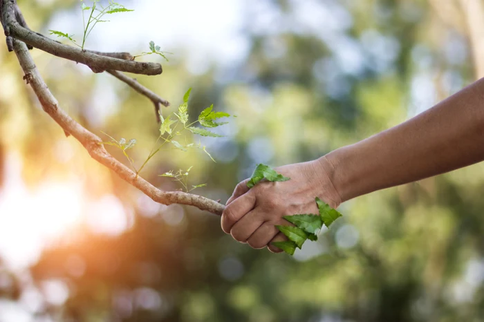 Sursă foto: Shutterstock
