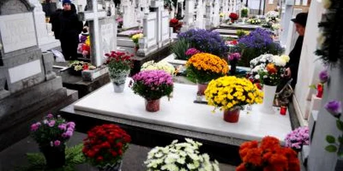 flori morminte nou.zhd.ro