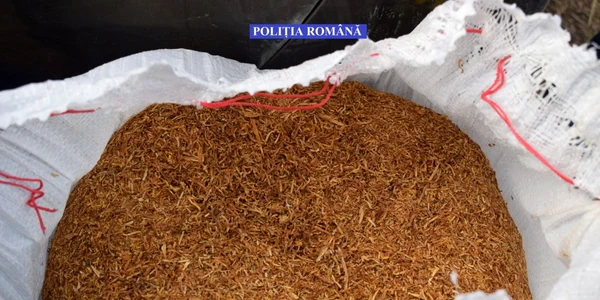slobozia tutun