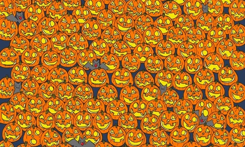 test jpg