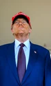 trump elon musk gettyimages jpg
