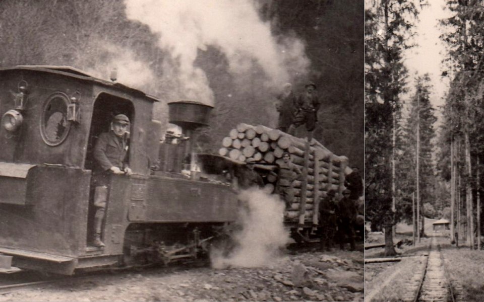 Secretele marii rețele de căi ferate forestiere din Valea Jiului. Imagini rare cu liniile dispărute FOTO