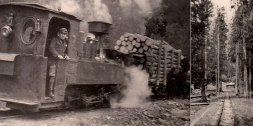 Căi ferate forestiere din Valea Jiului  Anul 1956  Foto  Richard Marschalko1 jpg