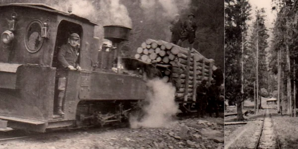 Căi ferate forestiere din Valea Jiului Anul 1956 Foto Richard Marschalko1 jpg