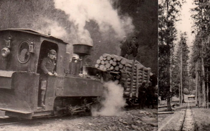 Căile ferate forestiere. Foto Richard Marschalko, 1956