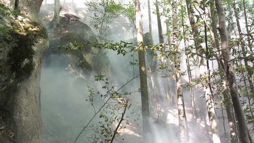 Incendiu în pădurile din Băile Olănești Foto ISU Vâlcea