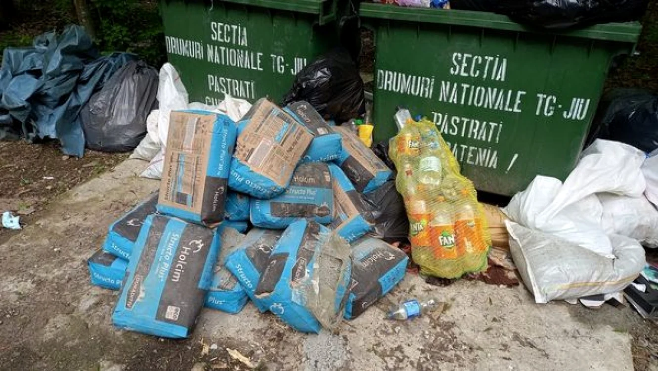 Containerele au fost umplute cu resturi provenite în urma unor lucrări de construcţie    Foto: DRDP Craiova